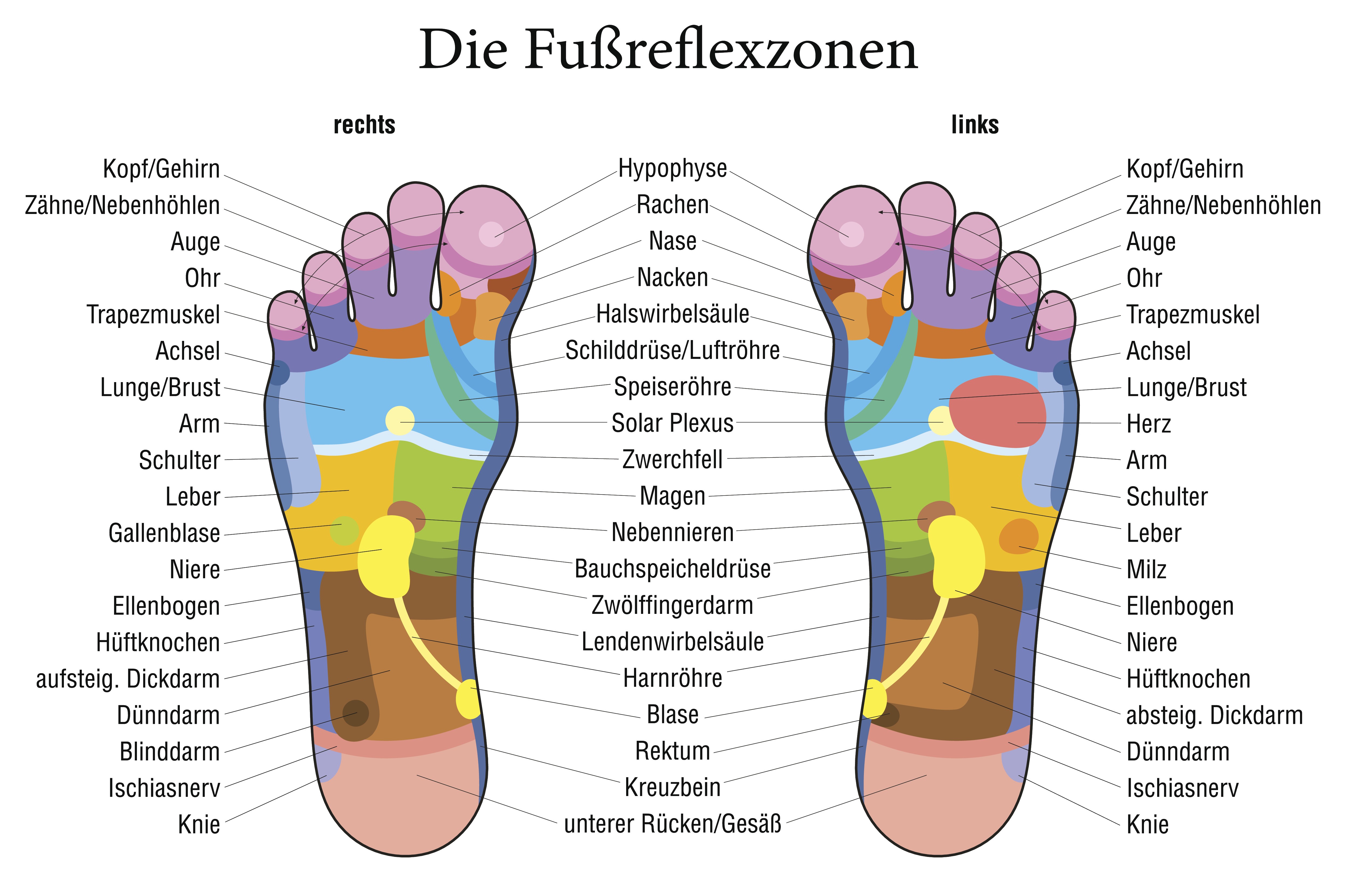 triggerpunkte-fussreflexzonen.jpeg